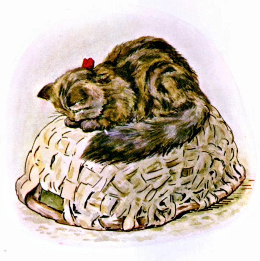 かごの上のねことかくれるふたり
