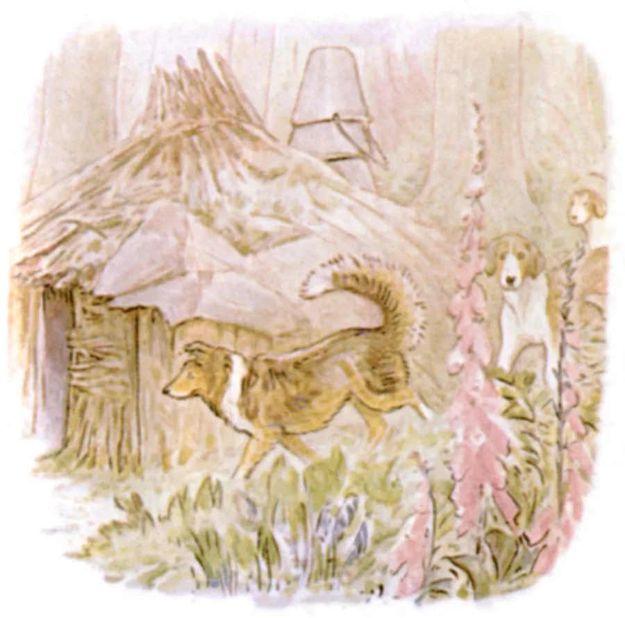 小屋の戸のすきまをかぐ黒いはな