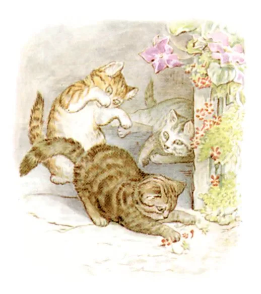 戸口であそぶ3びきのこねこ